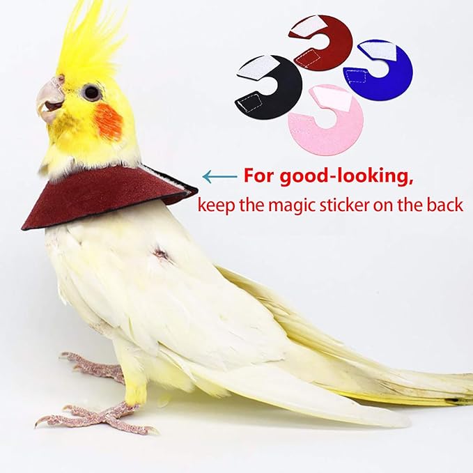 QBLEEV 4Pack Pet Parrot Anti-bite E-Collars, Anti-Grab Feather Plucking Wound Healing Safety Elizabethan Collar, Protective Recovery Cones for Budgerigar Lovebird Agapornis Fischer Cockatiel Cockatoo