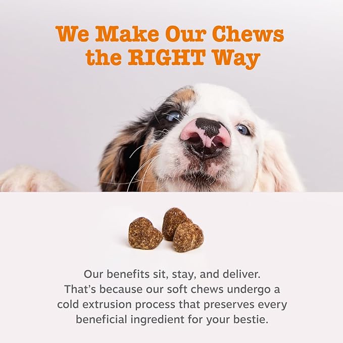 Zesty Paws Dog Allergy Relief - Anti Itch Supplement - Omega 3 Probiotics for Dogs - Stop Paw Licking - Soft Chews for Skin Health & Seasonal Allergies - with Epicor Pets - Senior - Salmon - 90 Count