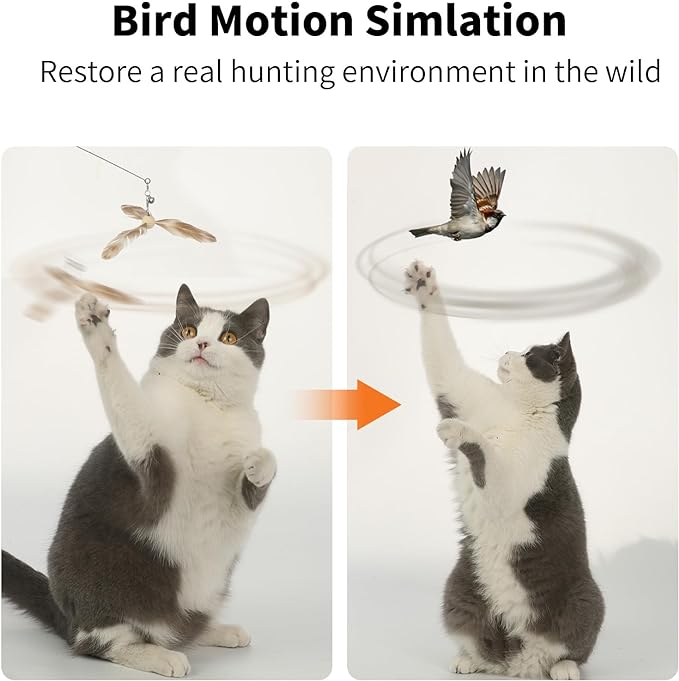 FUKUMARU Cat Wand Toy, 35.5 Inch Cat Feather Propeller Toy with Bell, Steel Wire Cat Toy for Indoor Cats with Natural Feather