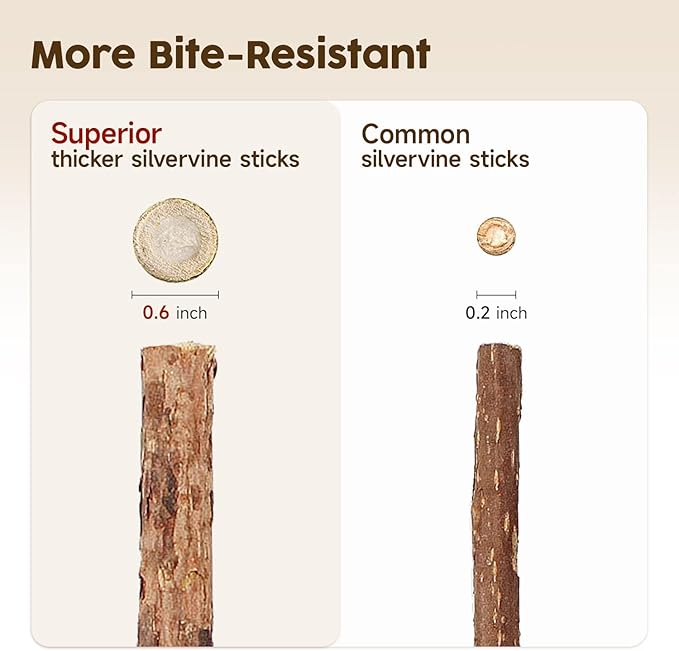 Potaroma 3 Pack Natural Silvervine Sticks Cat Toys, Catmint Silvervine Blend Sticks, Catnip Kittens Chew Toys Teeth Cleaning, Matatabi Dental Care Cat Treat Edible Kitty Lick Toys, Package May Vary