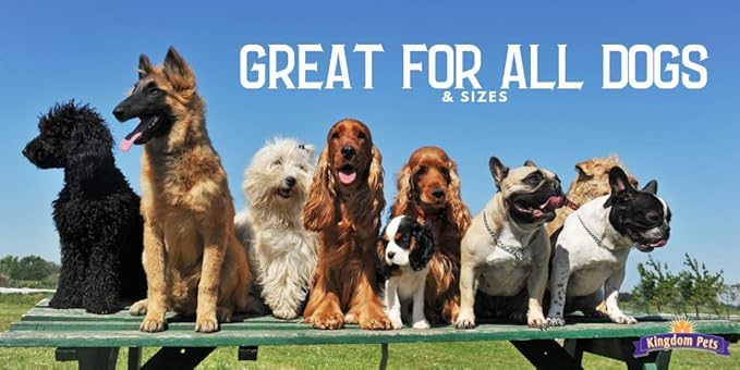 Duck Jerky Dog Treats with Only 3 Ingredients and No Fillers, 2.5 Pound Bag