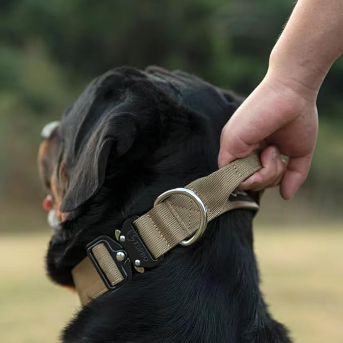 TSPRO Premium Dog Collars Tactical Dog Collar with Handle and Heavy Duty Quick-Release Metal Buckle Durable Thick and Adjustable for Medium to Large Dogs (Vitality Gradient L)