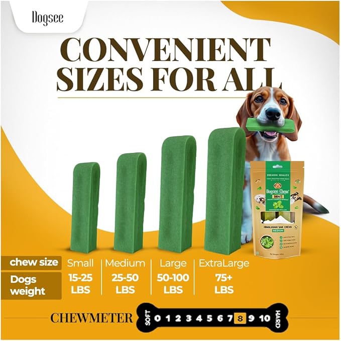 Dogsee Mint Flavor Himalayan Yak Cheese Dental Chews for Dogs 1lb (Medium - 6 Chews) | Aid Digestion | Made in Himalayan Regions | Odorless Dog Treats…