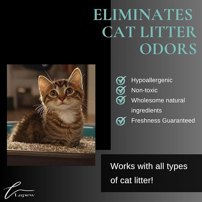 Champagne Cheers Carpet Freshener Powder: Powerful Odor Eliminator for Home, Upholstery Deodorizer, Carpet Deodorizer, Pet Urine, Cat Litter Box - Champagne Toast Fragrance