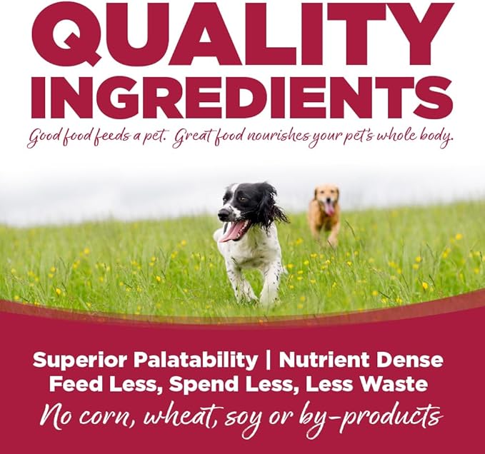 NutriSource Chicken, Lamb & Ocean Fish Recipe Dog Food, Premium Wet Dog Food, 12.3 Ounce (Pack of 12)