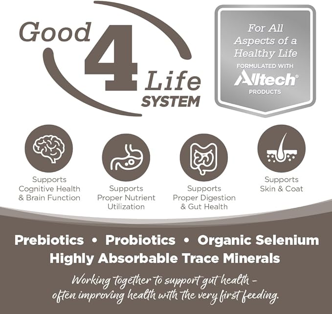 NutriSource Chicken & Rice Senior Dog Food, Premium Wet Dog Food, 12.3 Ounce (Pack of 12)