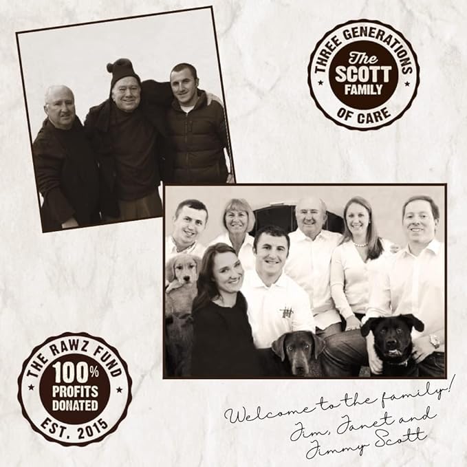 Rawz Natural Pet Food, Digestive Support Canned Dog Food, 12.5 Ounce (Beef & Pumpkin) Case of 12 Cans