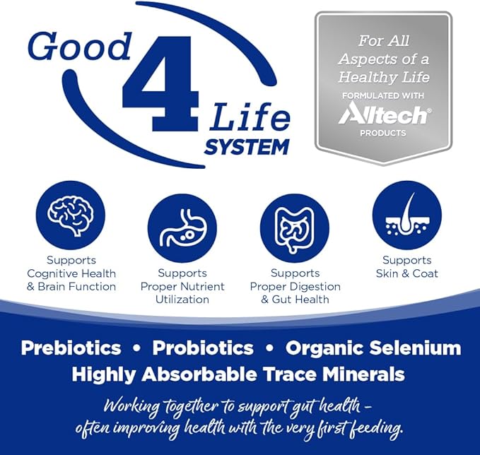 NutriSource Trout & Rice Recipe Dog Food, Premium Wet Dog Food, 12.3 Ounce (Pack of 12)