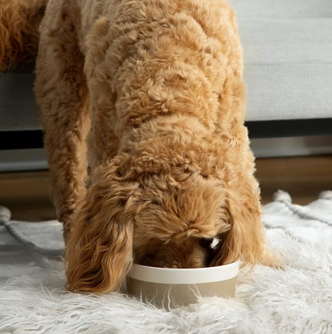 Waggo Dipper Ceramic Dog Bowl Heavyweight Durable Dog Food and Water Dish (Large, Teracotta)