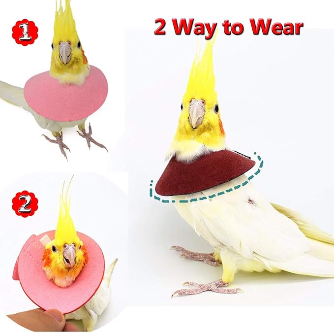 QBLEEV 4Pack Pet Parrot Anti-bite E-Collars, Anti-Grab Feather Plucking Wound Healing Safety Elizabethan Collar, Protective Recovery Cones for Budgerigar Lovebird Agapornis Fischer Cockatiel Cockatoo