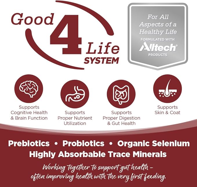 NutriSource Harvest Selects Field & Forest Dog Food, Premium Wet Dog Food, 12.3 Ounce (Pack of 12)