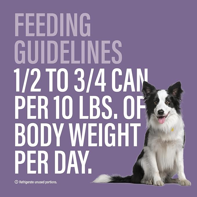 Chewer's Joy Wet Dog Food Variety Pack – 4 Flavors: Beef & Chicken, Chicken & Salmon, Chicken & Rice or Beef & Vegetables – Natural Pâté – High Protein – Complete Nutrition (3oz) – Pack of 12