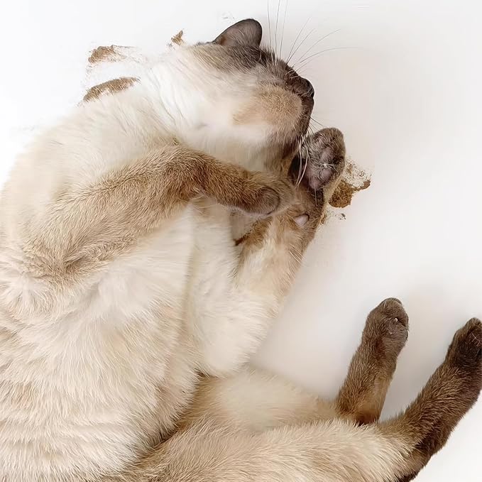 Cat Toys - Silvervine Powder 45g with 5 Resealable Pouches, Catnip Alternative, 100% Natural Silver Vine Gall Fruit Powder, Matatabi Cat Toy, Suitable for All Cat Ages