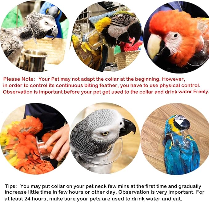 QBLEEV Pet Parrot Anti-bite Collar, Anti-Grab Feather Lick Wound Healing Neck Collar, Stress-Free Recovery from Injuries Post-Surgery, Protective Recovery Collars Fit Lovebird Macaws Budgies Cockatiel