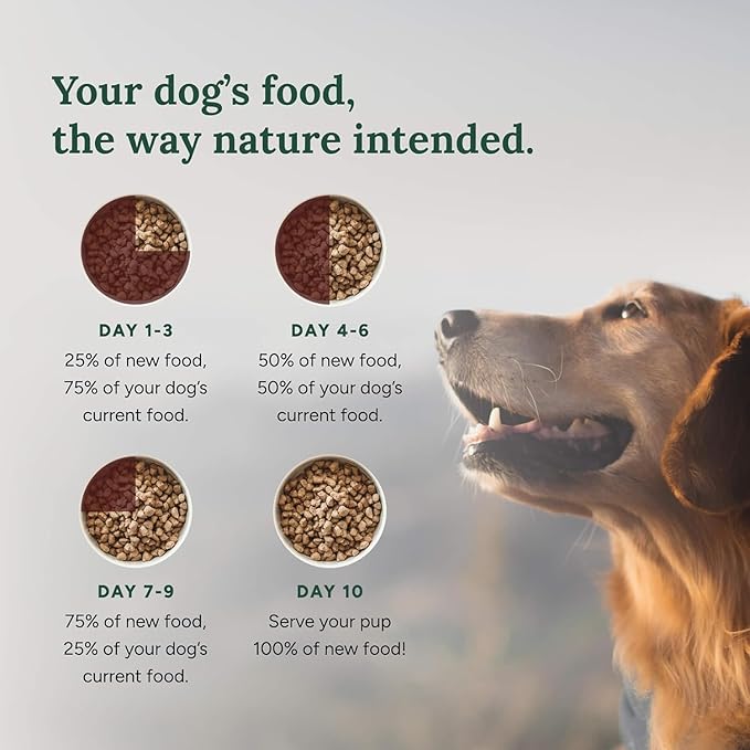 360 Pet Nutrition Freeze-Dried Raw Dog Food, High Protein Meal w/Beef, Chicken,Organs, Whitefish, Omega-3, Fruit&Veg, Superfoods, No Fillers, 48 oz Food/Bites/Kibble (Multi-Protein) Made in USA