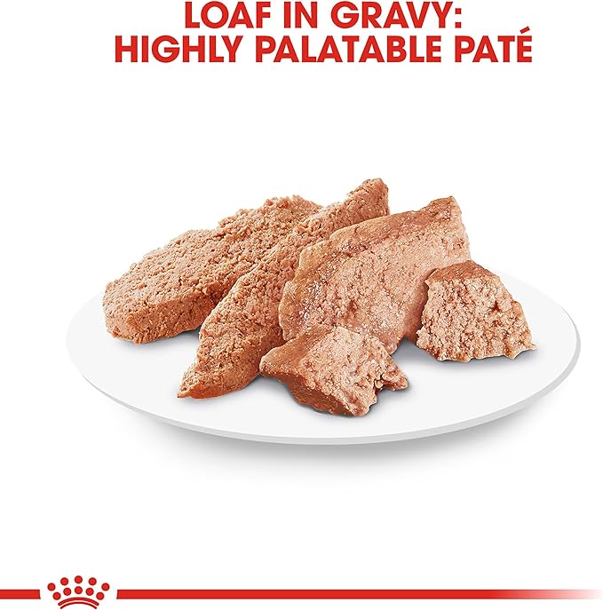 Royal Canin Breed Health Nutrition Chihuahua Adult Loaf in Sauce Wet Dog Food, 3 oz can (4-pack)