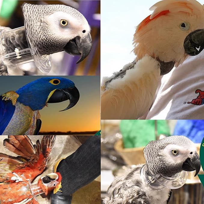 QBLEEV Pet Parrot Anti-bite Collar, Anti-Grab Feather Lick Wound Healing Neck Collar, Stress-Free Recovery from Injuries Post-Surgery, Protective Recovery Collars Fit Lovebird Macaws Budgies Cockatiel