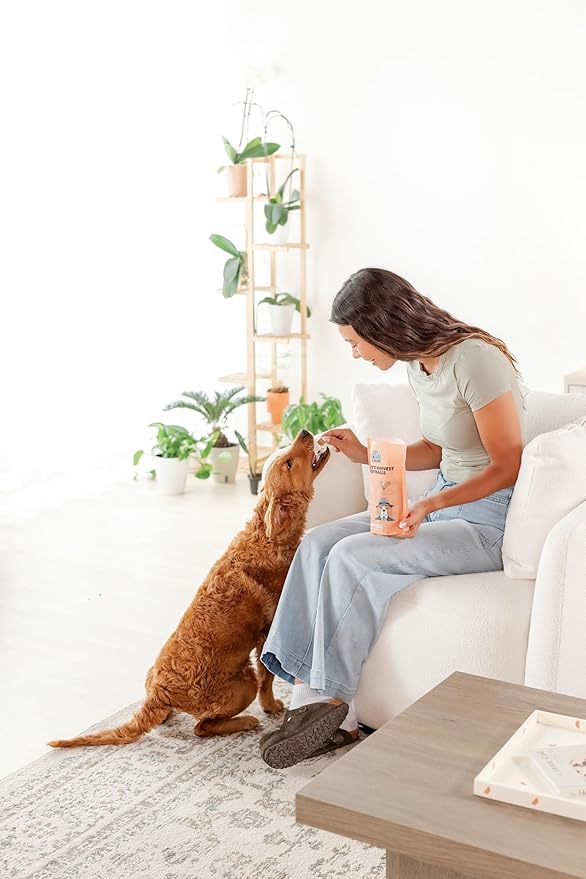 Freeze-Dried Dog Treats – Harvest Meatballs – Ground Beef, Turkey, Pumpkin, Sweet Potato & Cinnamon – Natural Treats for Small, Medium & Large Dogs – No Preservatives – 7 oz Bag