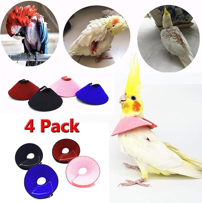 QBLEEV 4Pack Pet Parrot Anti-bite E-Collars, Anti-Grab Feather Plucking Wound Healing Safety Elizabethan Collar, Protective Recovery Cones for Budgerigar Lovebird Agapornis Fischer Cockatiel Cockatoo