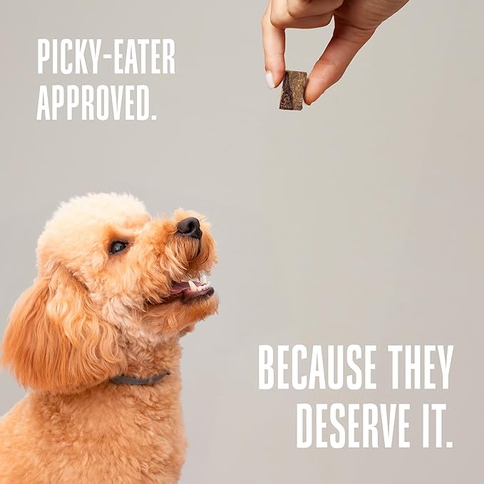 Whole Life Dog Just One Beef Liver Freeze Dried Dog Treats - Human Grade High Protein Food, Healthy Training Snacks, Freeze Dried Food Toppers, USA Made Natural Treats - 4 oz (Pack of 1)