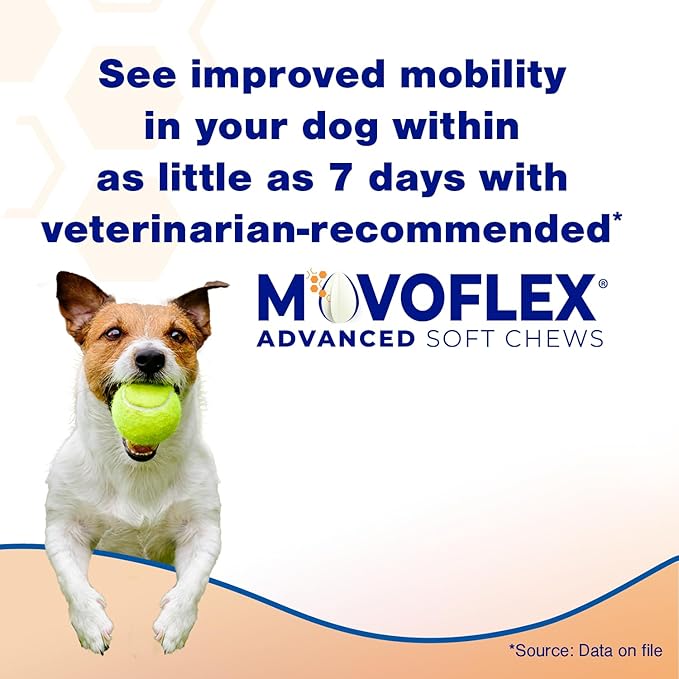 Advanced Soft Chews Hip and Joint Support Supplement for Small Dogs 60 Count by Virbac