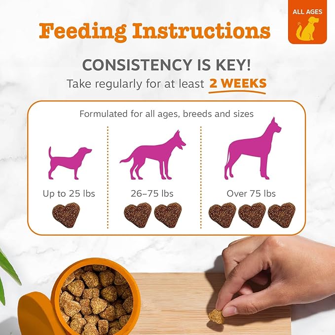 Zesty Paws Salmon Oil for Dogs Skin and Coat, Omega 3 Fish Oil Chews, Dog Allergy Relief Chews, Itch Relief Supplement, 90 Count, Bacon Flavor