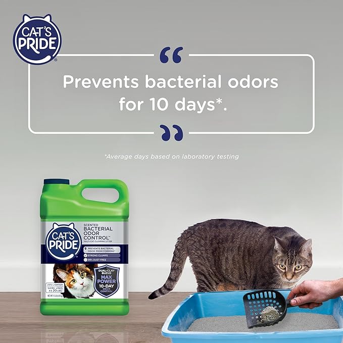 Cat's Pride Max Power: Bacterial Odor Control - Up to 10 Days of Powerful Odor Control - Strong Clumping - 99% Dust Free - Multi-Cat Litter, Fresh Scented, 15 Pounds