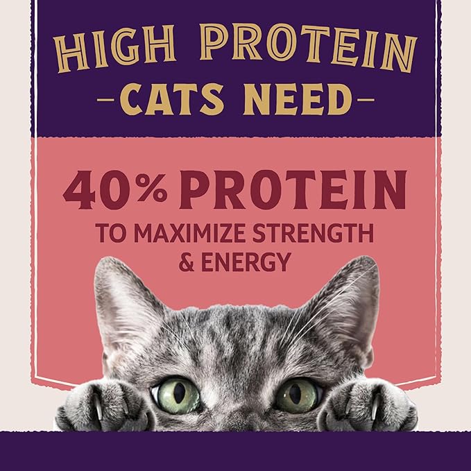 Natural Balance Ultra Protein Plus Dry Cat Food, Skin & Coat and Digestive Health Real Salmon & Chicken Meal Recipe with Chicken Liver & Chicken Heart, High Protein Cat Food for Picky Cats - 5 lbs
