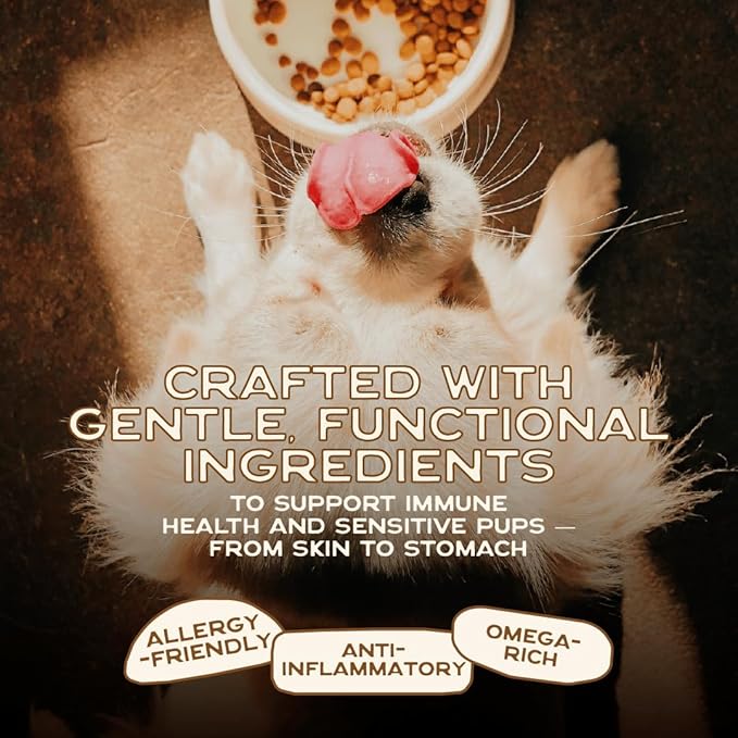 Smart Cookie Natural Dog Food Topper - Superfood - Salmon Dog Meal Mixer for All Ages - Food Topper for Picky Eaters and Boosting Nutrition - Non GMO, Made in The USA - 15 oz Bag (30 Day Supply)