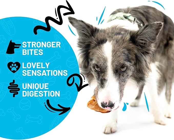 Sitka Farms Beef Knee Caps Smoked Premium Dog Bones - 25 Count - 100% Natural Long Lasting and Meaty Dog Treats Bones for Aggressive Chewers - for Small, Large and Medium Breed Dogs