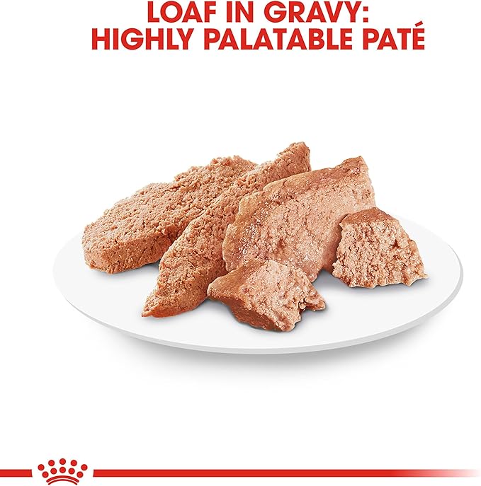 Royal Canin Breed Health Nutrition Chihuahua Adult Loaf in Sauce Wet Dog Food, 3 oz can (24-count)