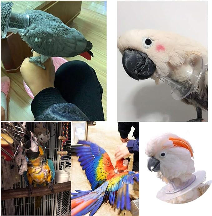 QBLEEV Pet Parrot Anti-bite Collar, Anti-Grab Feather Lick Wound Healing Neck Collar, Stress-Free Recovery from Injuries Post-Surgery, Protective Recovery Collars Fit Lovebird Macaws Budgies Cockatiel