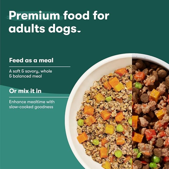 Jinx Salmon Wet Dog Food Topper, Mix with Dry Dog Food, Made with Real Salmon & Chicken, Bone Broth, No Fillers, Puppy, Adult, Senior, 9oz, 12 Pack