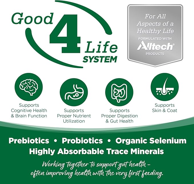 NutriSource Dry Dog Food, Turkey and Rice, 12LB