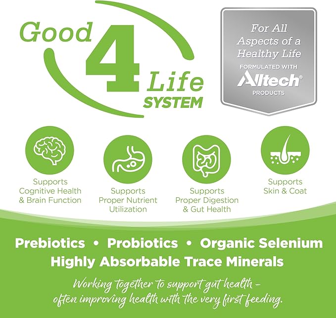 NutriSource Weight Management Dry Dog Food, Chicken and Chicken Meal, 4LB