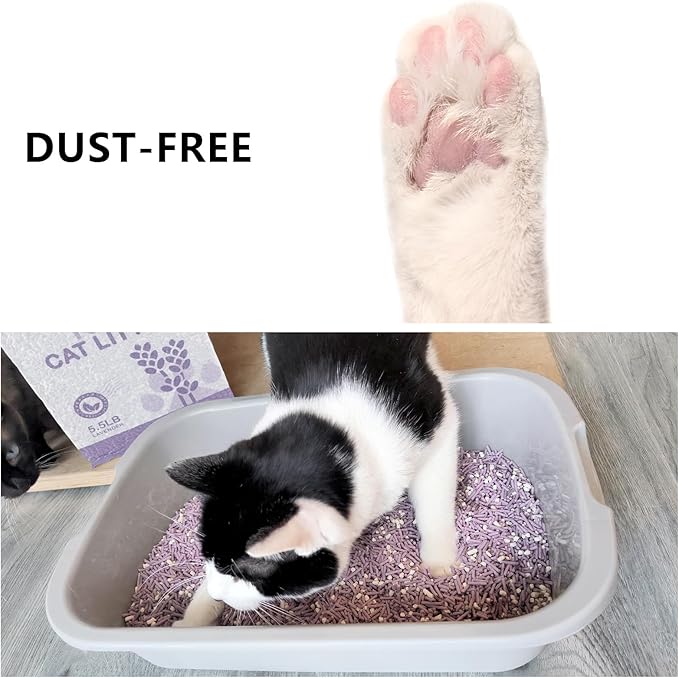 Tofu Cat Litter, Dust-Free Kitty Litter, Ultra Absorbent Clumping Cat Pellet Litter, Fast Drying, Lavender Odor Control, Less Scattering, Dust-Free Mixed.