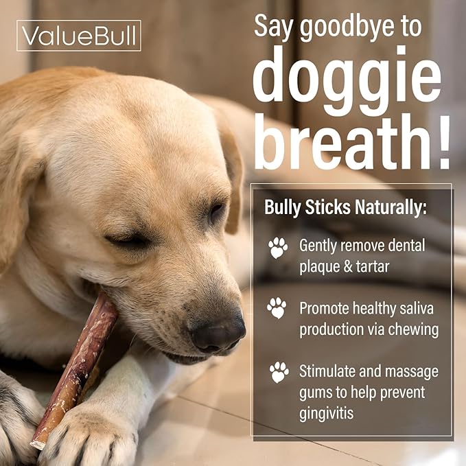 ValueBull Bully Sticks for Dogs, Medium 6 Inch, 50 Count - All Natural, Grass Fed, Single Ingredient, Long Lasting Dog Treats