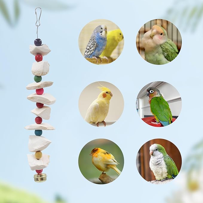 2 Pack Bird Toys with Cuttlebone, Parakeet Toys, Bird Beak Grinding Stone, Cage Accessories for Parakeets, Cuttlefish Bone for Budgies, Cockatiels, Lovebirds, Green Cheeks, Small to Medium Birds