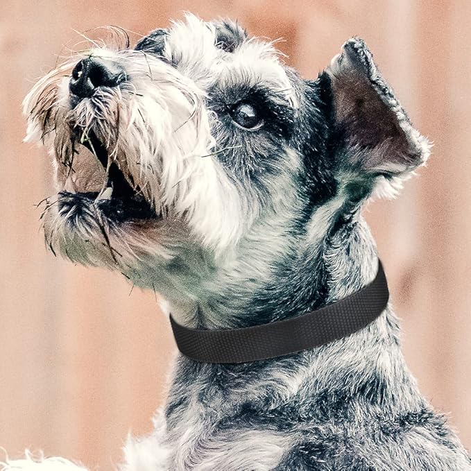 PetJoy Dog Collars Strap, Replacement Collar for Shock Reflective Collar, Adjustable Classic Dog Collar Strap for All Varieties Small Medium Large Dogs (Black & Blue)