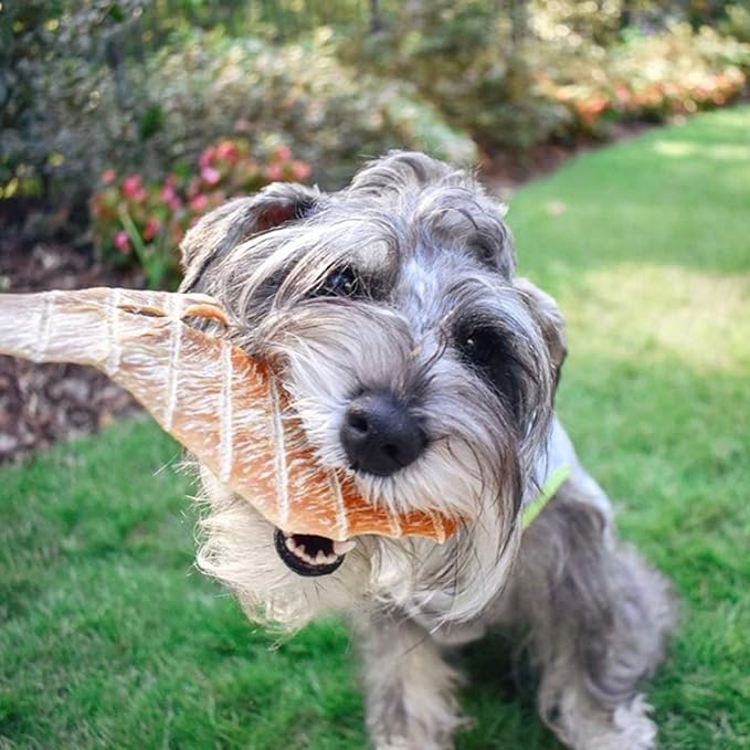 Chicken Jerky - Dog Treats Made in USA Only - 1 Ingredient: USDA Grade A Chicken Breast - No Additives or Preservatives - Grain Free Snack, All Natural Premium Strips, 8 Ounces