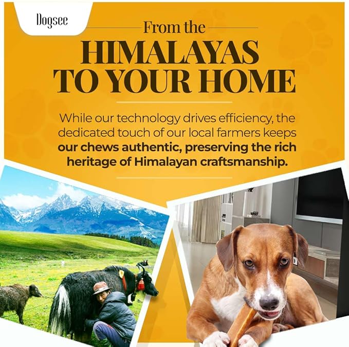 Dogsee Himalayan Yak Cheese Dog Chews with Turmeric/Curcumin (Medium - 6Chew) | Long Lasting | Anti-inflammatory | Fights Plaque and Tartar | Odorless Dog Treats