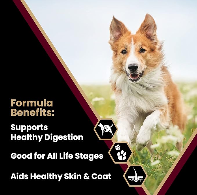 VICTOR Super Premium Dog Food – Lamb Meal & Brown Rice Formula - Gluten-Free Dry Dog Food for All Normally Active Dogs of All Life Stages – Ideal for Dogs with Meat Protein Allergies, 5 lb