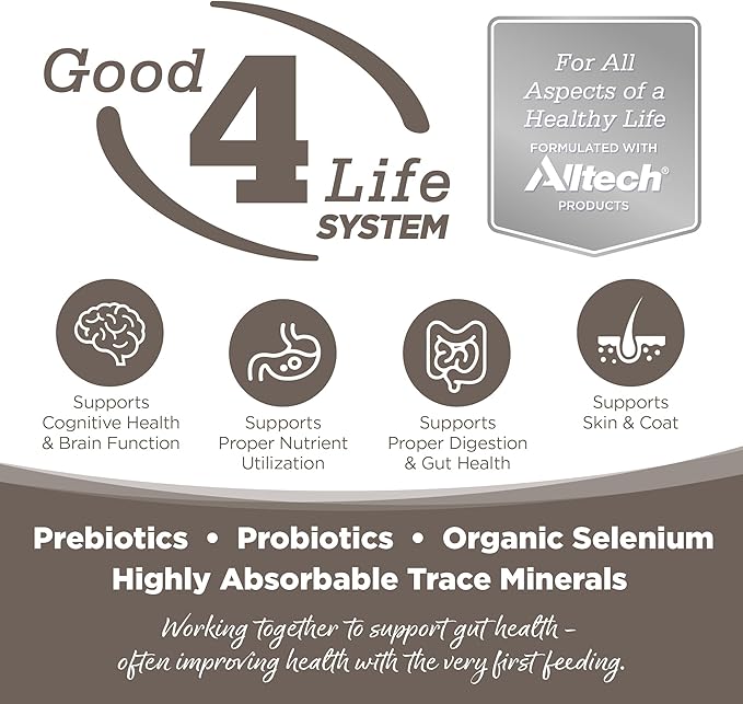 NutriSource Dry Dog Food for Seniors, Chicken and Rice, 4LB