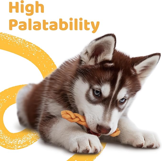 iPaw Turkey Dog Treats, All Natural Human Grade Dog Treat, Suitable for Training chew, US Sourced Raw Material, Hypoallergenic, Rawhide Alternative, Braided Stick (Pumpkin)