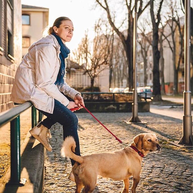 LWBMG Leather Dog Leash 4ft, Heavy Duty Dog Lead, Strong Genuine Leather Braided Pet Leash, Soft and Comfortable Pet Leashes for Large, Medium Dogs Training Red