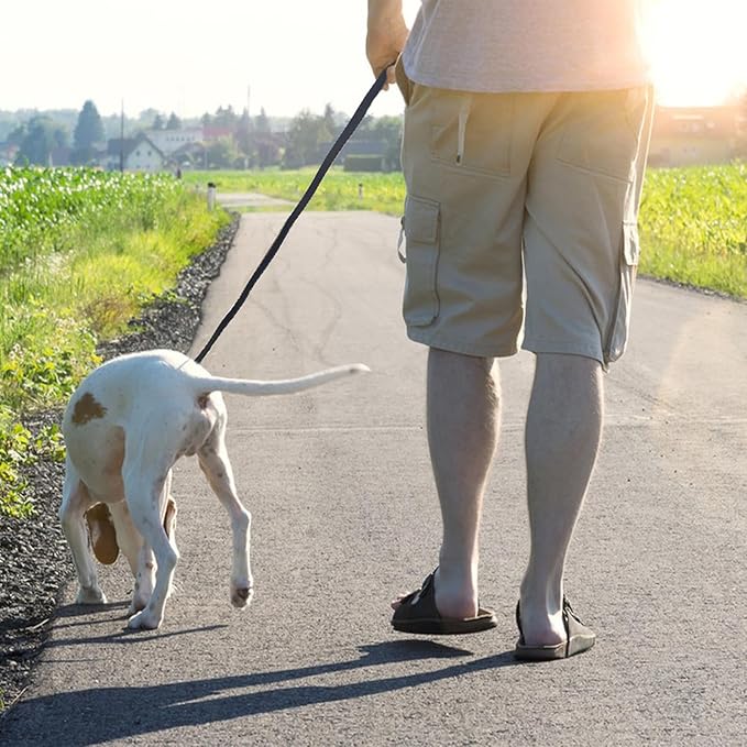 Leather Dog Leash 4ft x 3/4 inch, Heavy Duty Dog Training Leash, Strong Sturdy Genuine Leather Braided Pet Leashes, Soft and Comfortable Pet Lead for Large, Medium Dogs