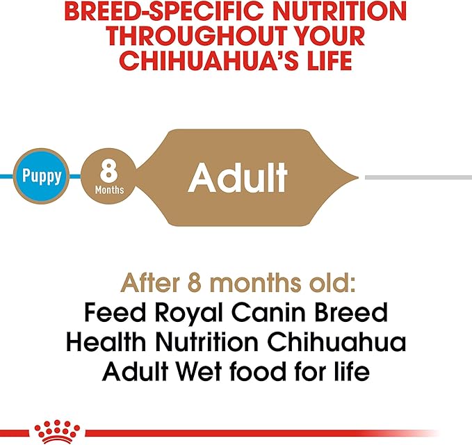 Royal Canin Breed Health Nutrition Chihuahua Adult Loaf in Sauce Wet Dog Food, 3 oz can (24-count)