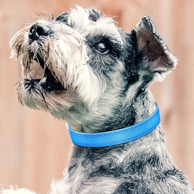 PetJoy Shock Collar Replacement Collar Strap, Reflective Dog Collars Strong, Durable & Adjustable Dog Collar- 2 Piece Set Collar for Dogs
