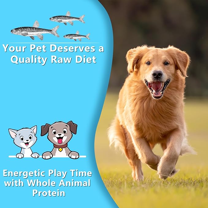 Minnows, 4.5oz Natural Air-Dried Minnows Dog and Cat Treats, Grain-Free, High-Protein, Single-Ingredient Fish Snacks for Training