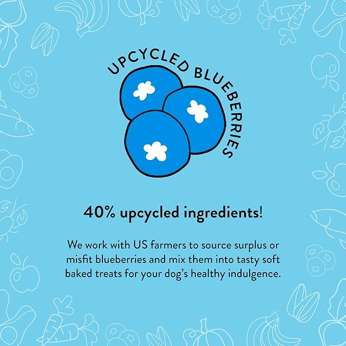 Shameless Pets Soft-Baked Dog Treats, Blueberried Treasure - Natural & Healthy Dog Chews with Mint for Immune Support - Baked & Made in USA, Free from Grain, Corn & Soy - 3-Pack